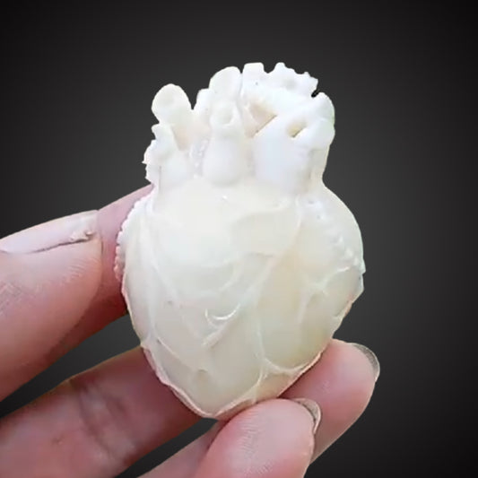 Vegetable Ivory Heart