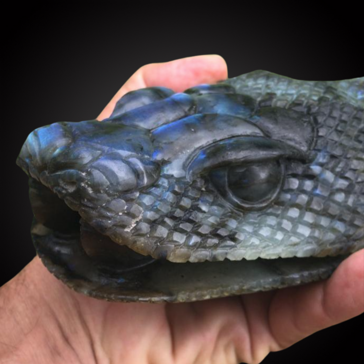 SNAKE HEAD LABRADORITE