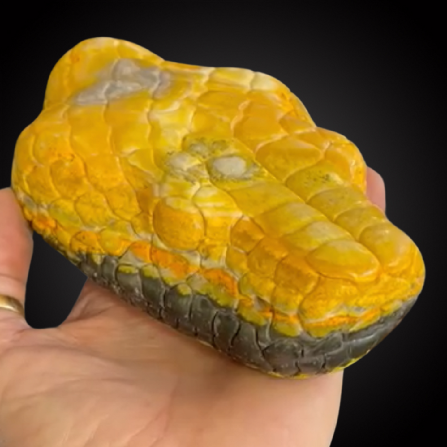 SNAKE HEAD BUMBLE BEE JASPER