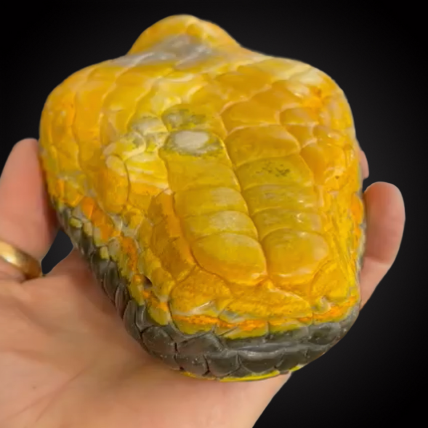 SNAKE HEAD BUMBLE BEE JASPER
