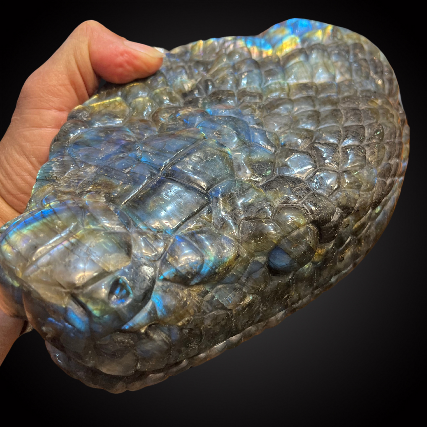 SNAKE HEAD LABRADORITE