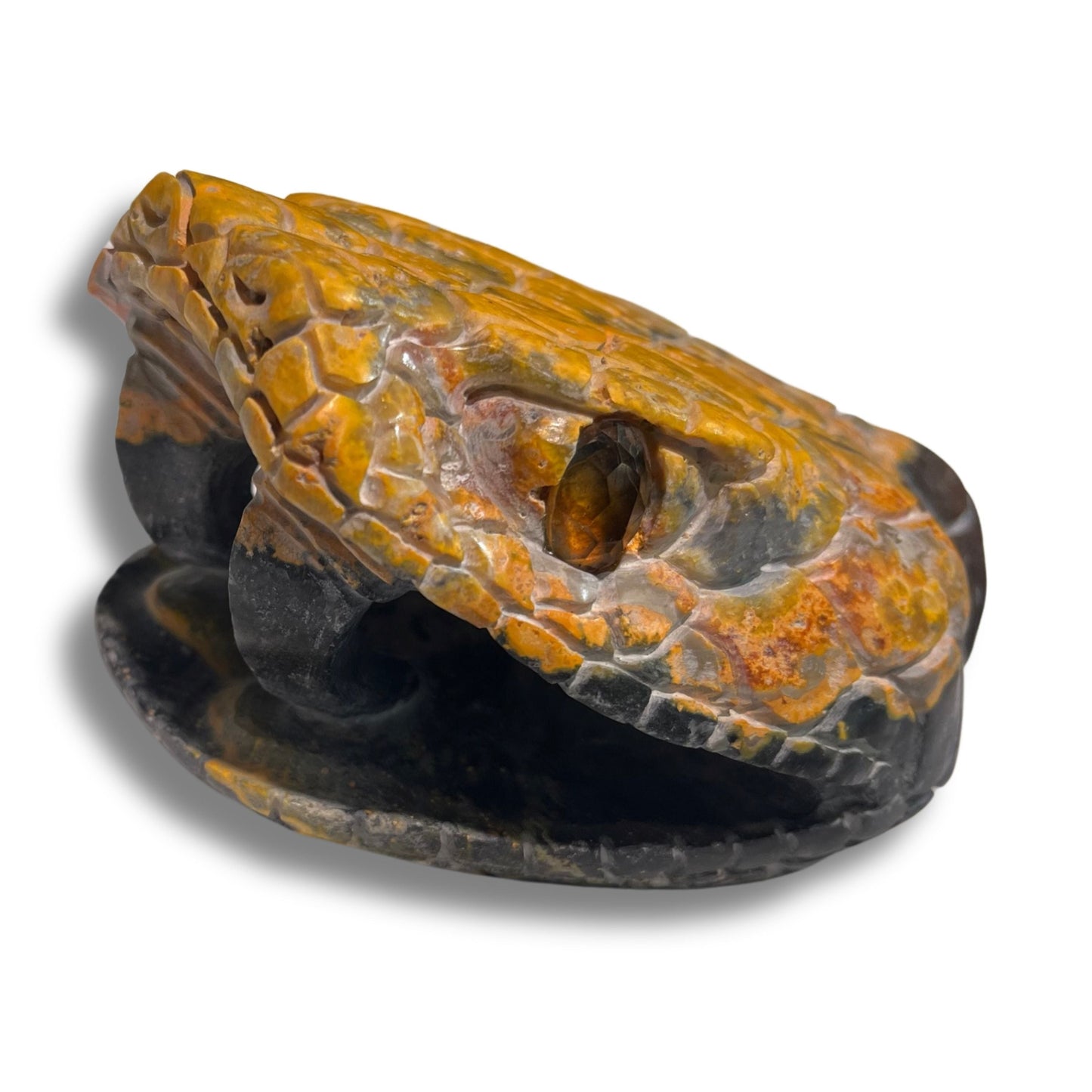 snake head bumble bee jasper
