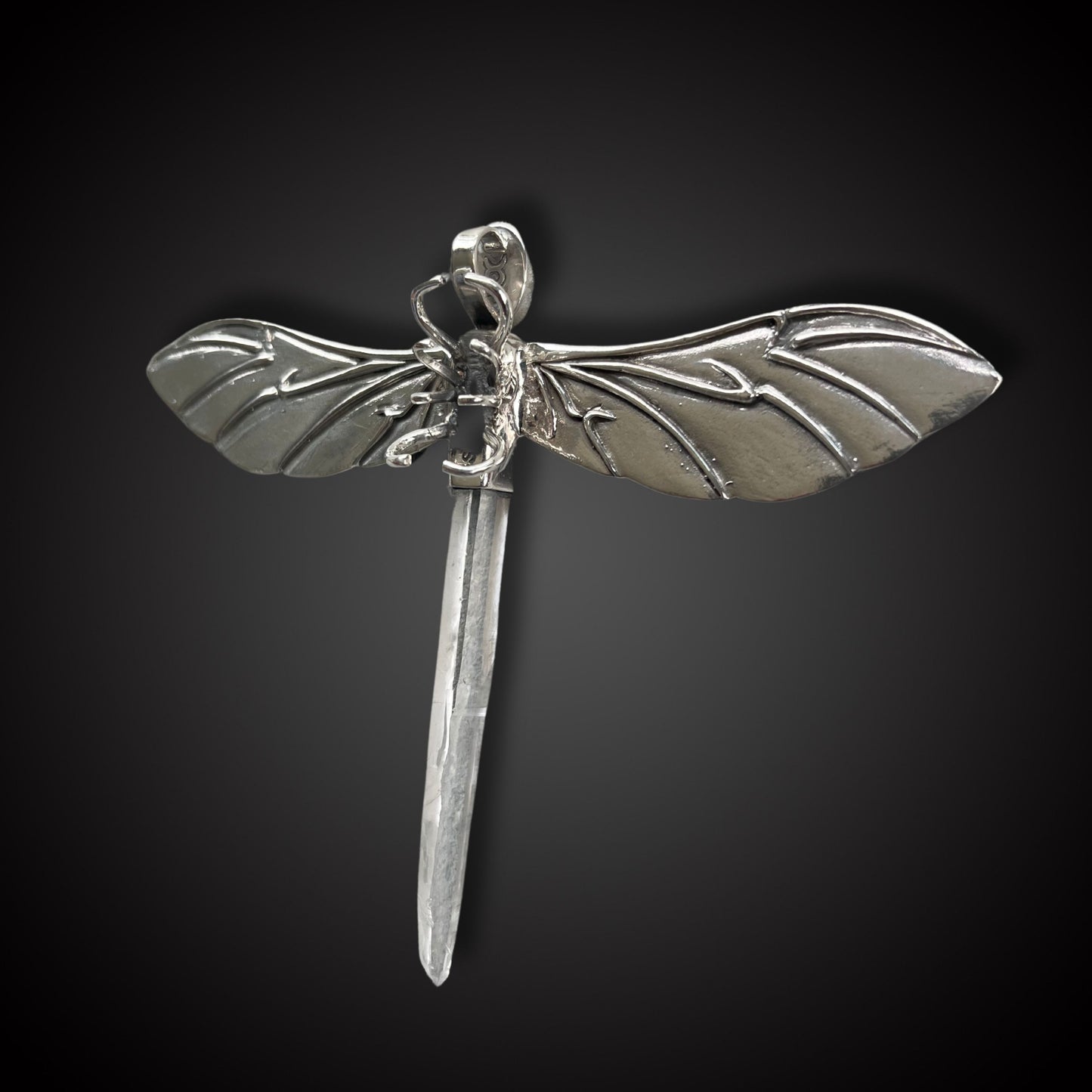 Dragon Fly High