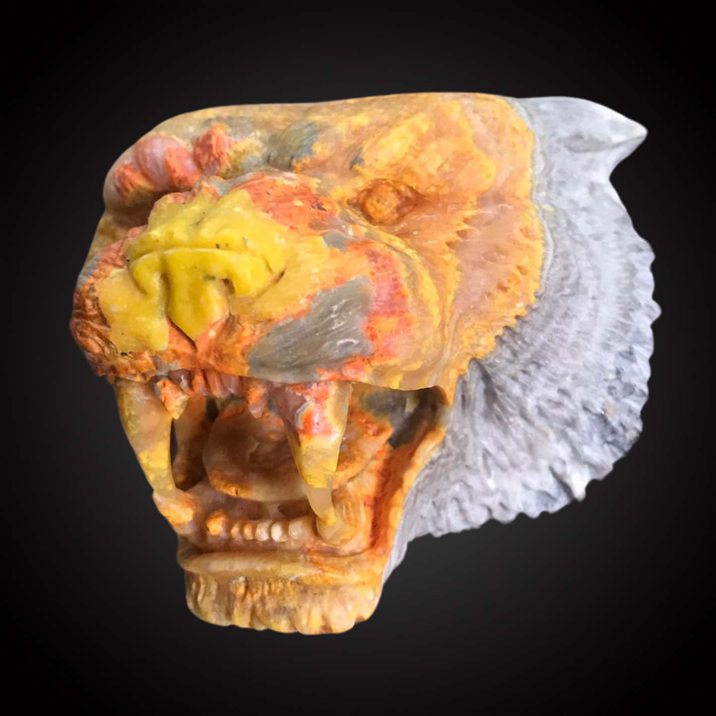 TIGER HEAD