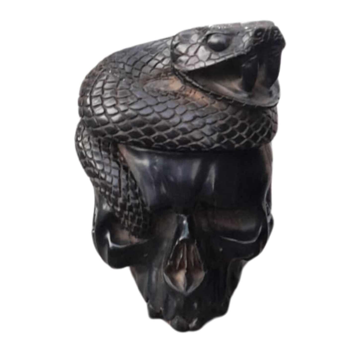 JET SKULL WITH PYTHON