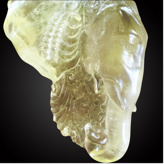 GANESHA
