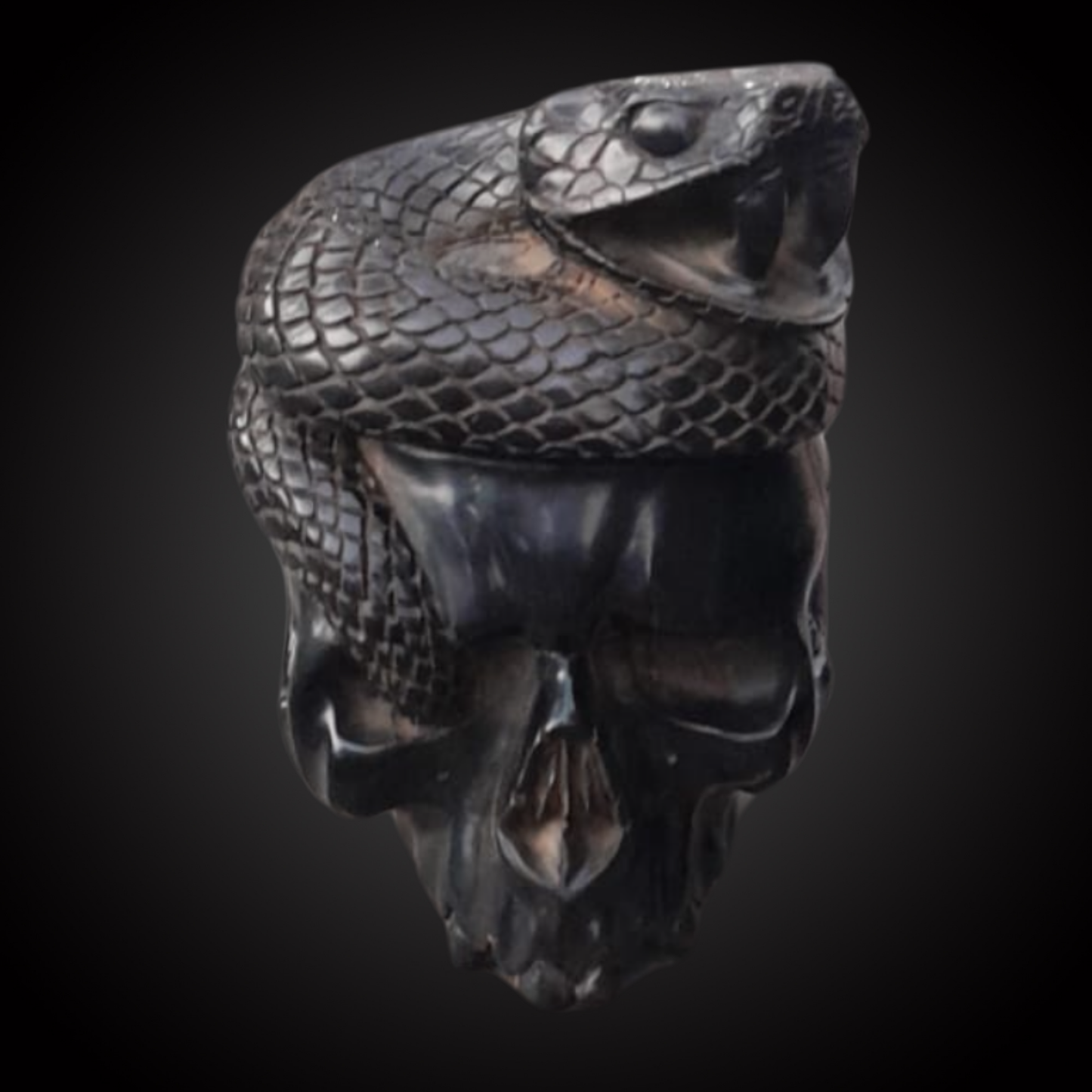 JET SKULL WITH PYTHON