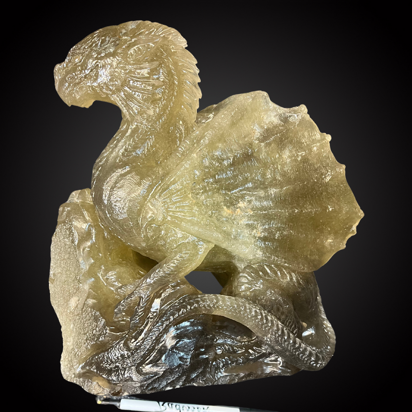 CELTIC DRAGON