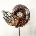 Ammonite Sculpture - Leaf Pattern