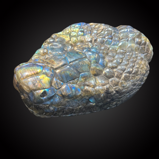 SNAKE HEAD LABRADORITE