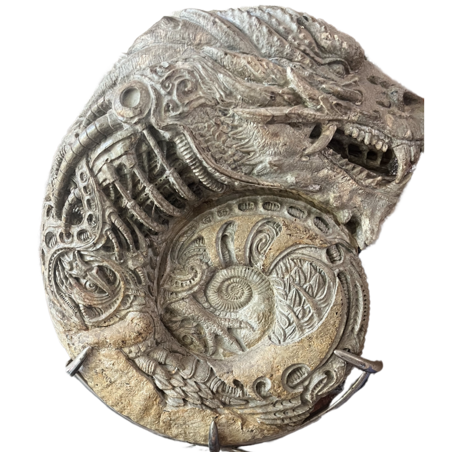 AMMONITE DRAGON
