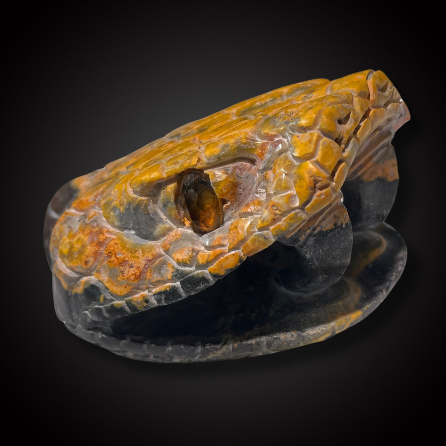 snake head bumble bee jasper