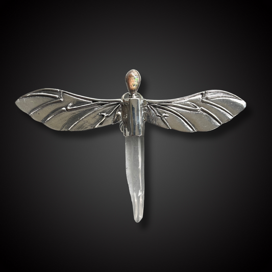 DRAGON FLY HIGH