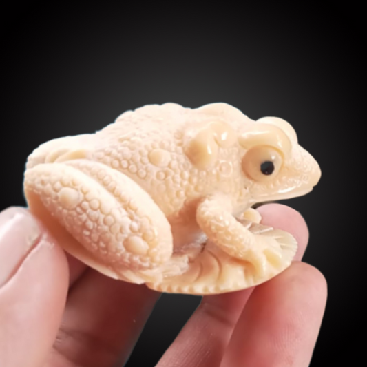 VEGETABLE IVORY TOAD