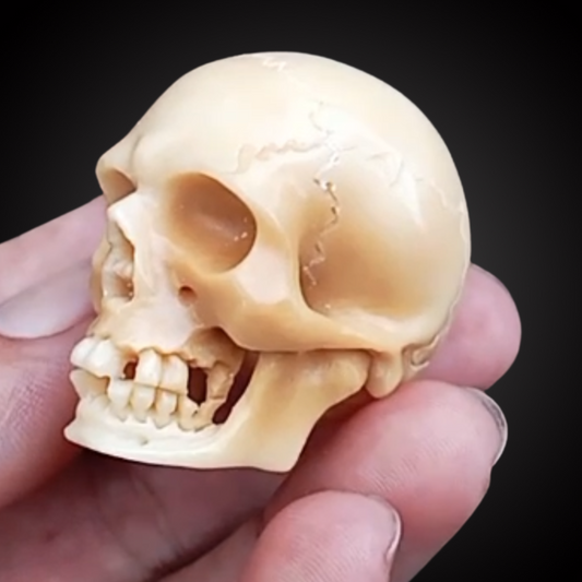 VEGETABLE IVORY SKULL