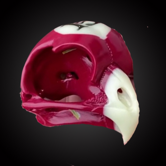 RAVENS SKULL
