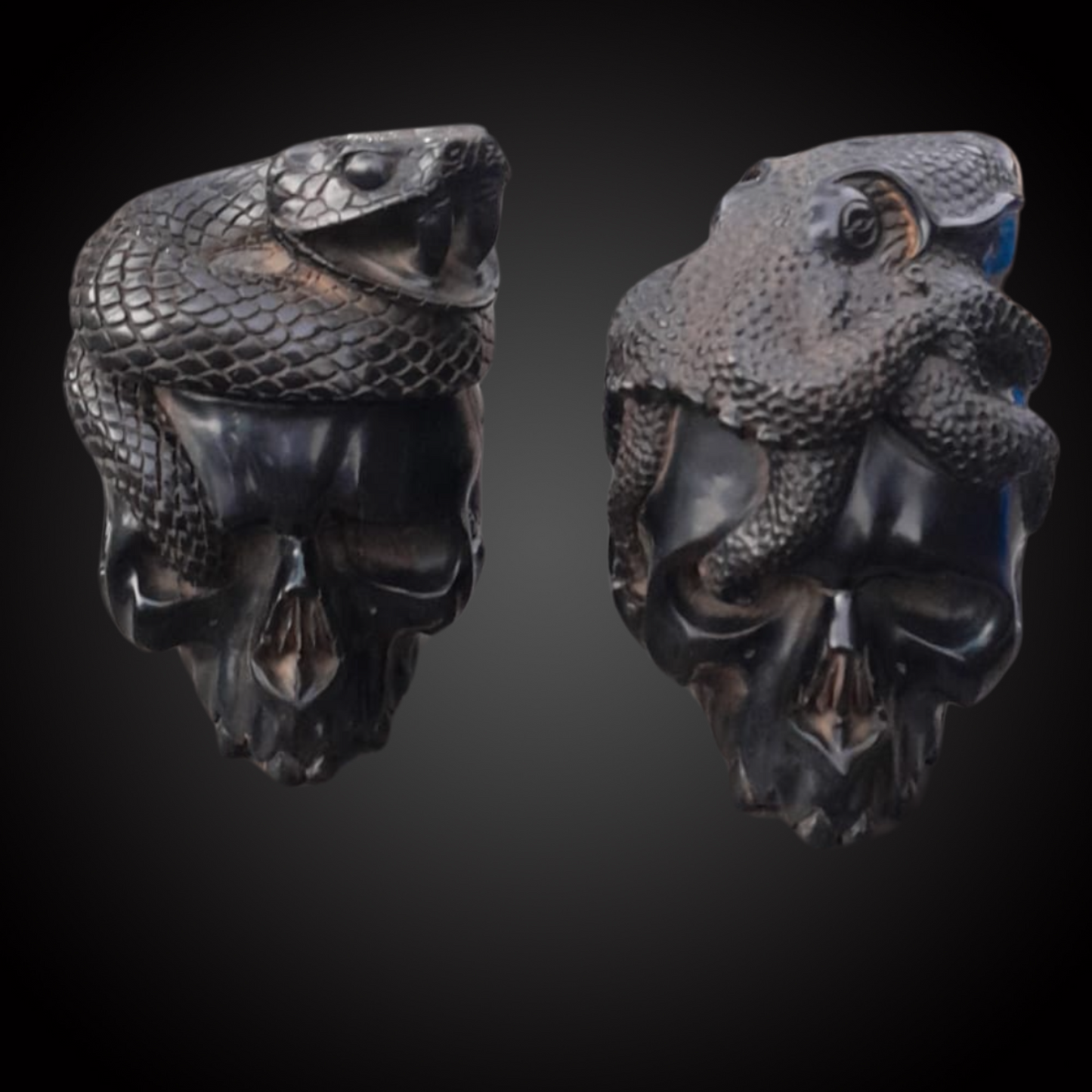 JET SKULL WITH PYTHON