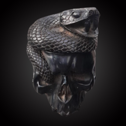 JET SKULL WITH PYTHON