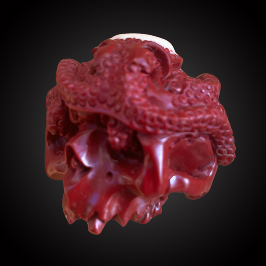 Skull with Octopus