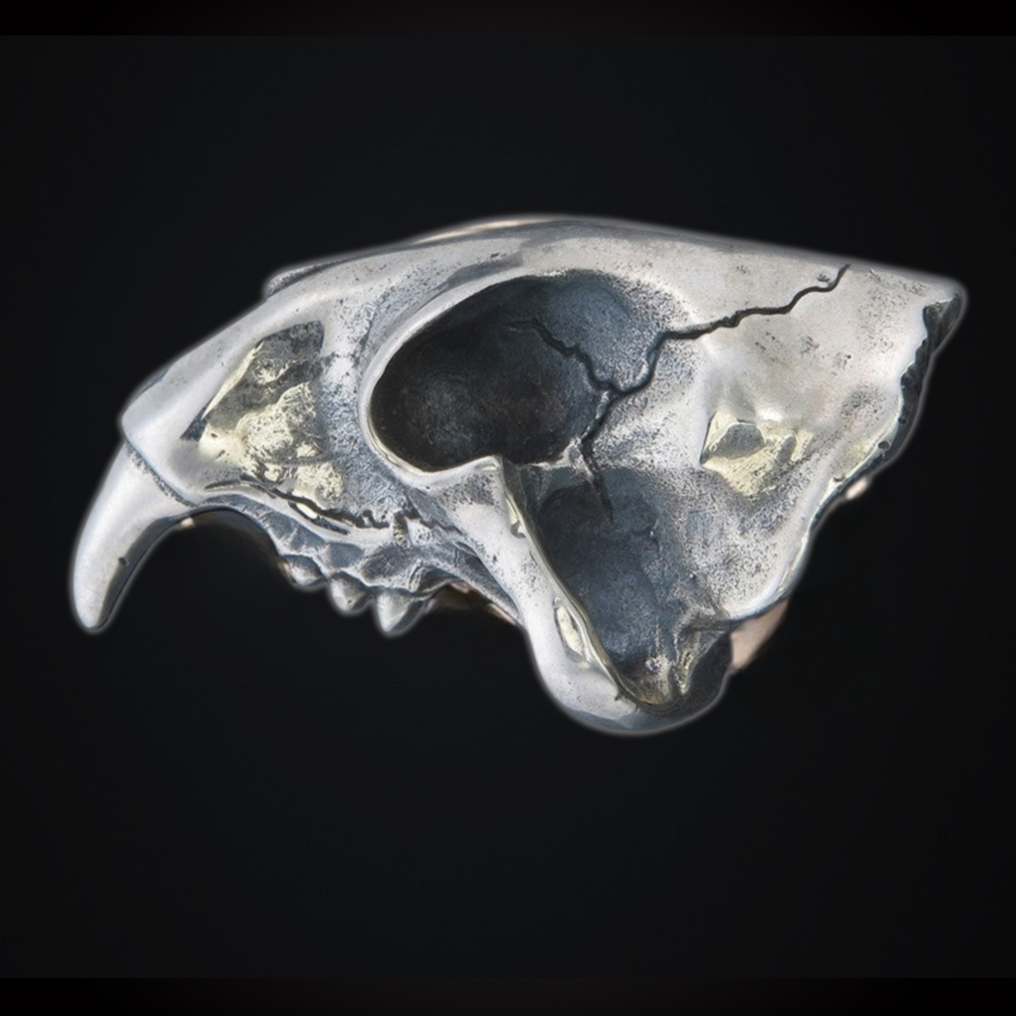 SABER TOOTH RING