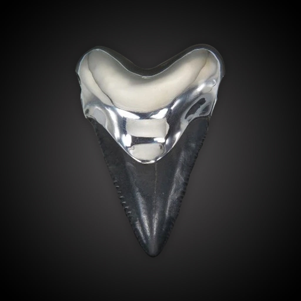 Shark Tooth Pendant