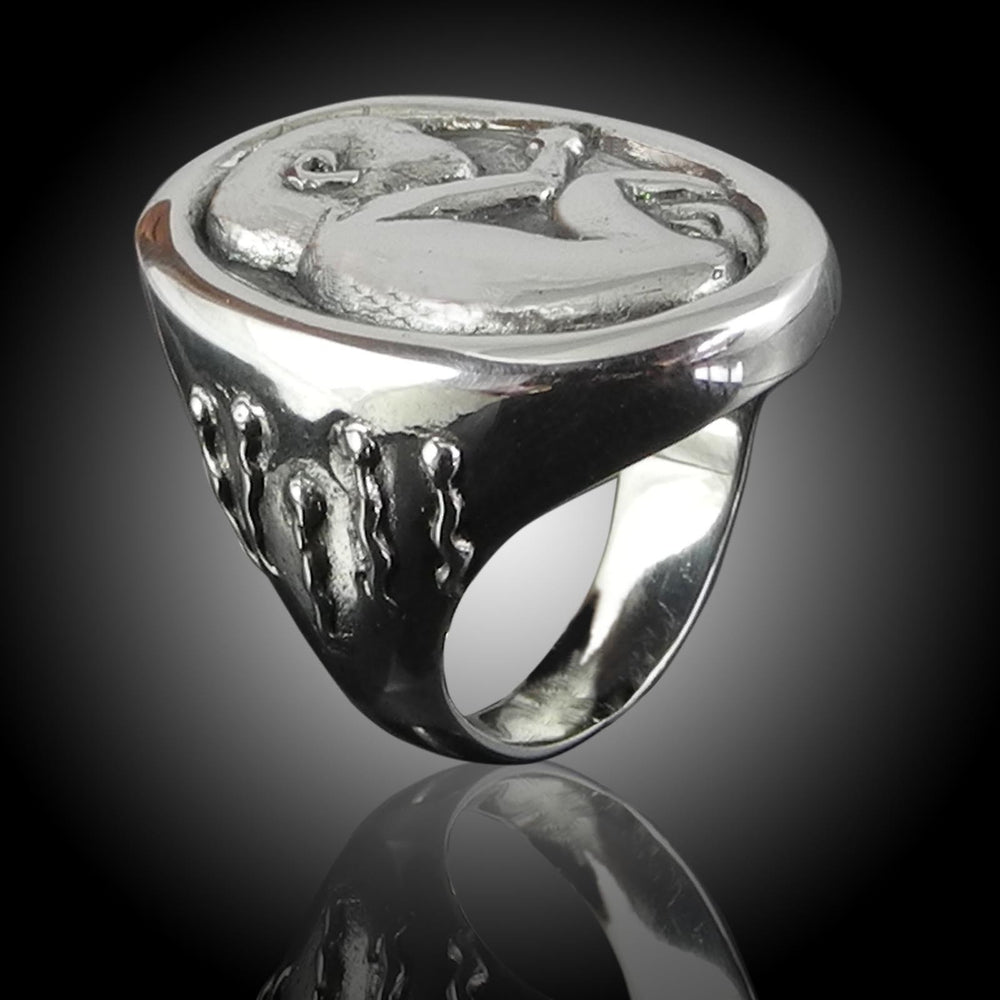 
                      
                        Life Ring
                      
                    