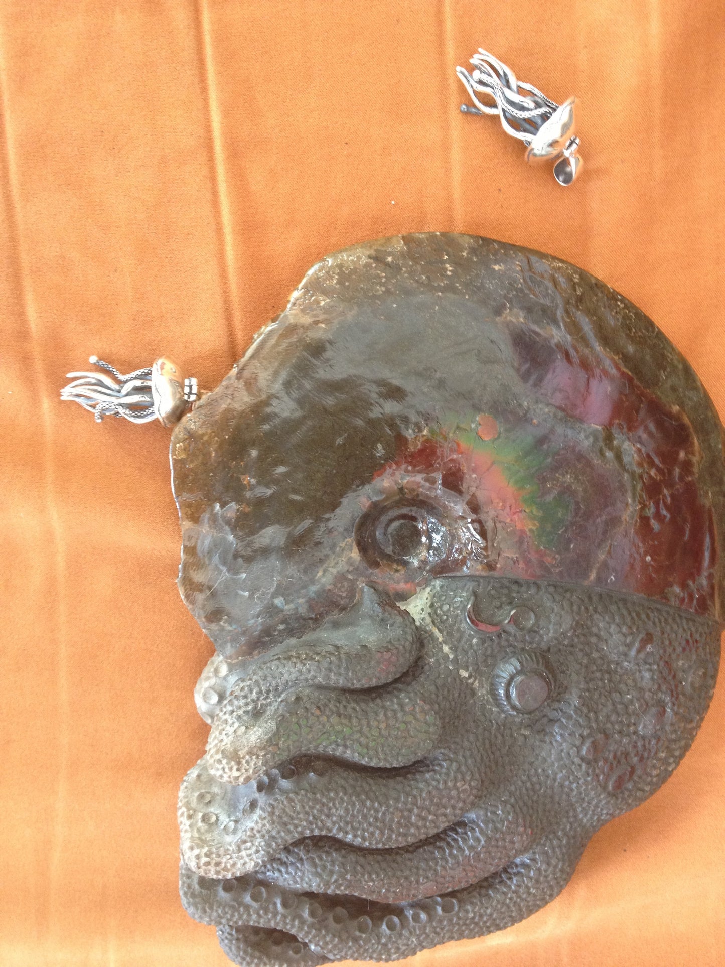 Ammonite Ammonite