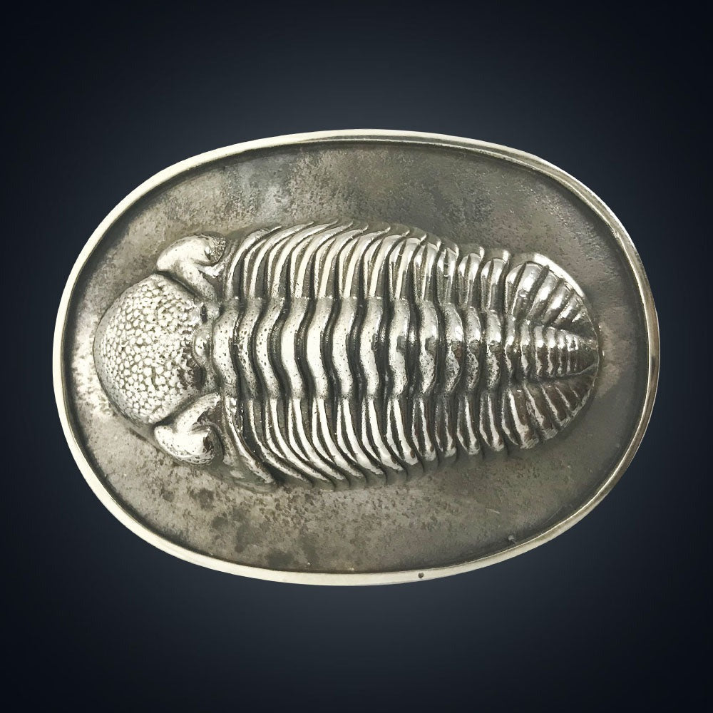 Trilobite Belt Buckle