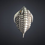 Trilobite Pendant