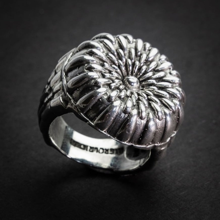 spice worm ring