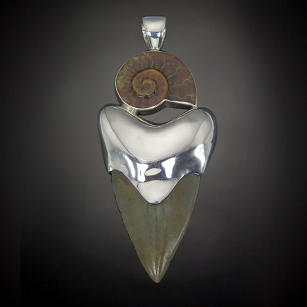 Shark Tooth Pendant with Accent